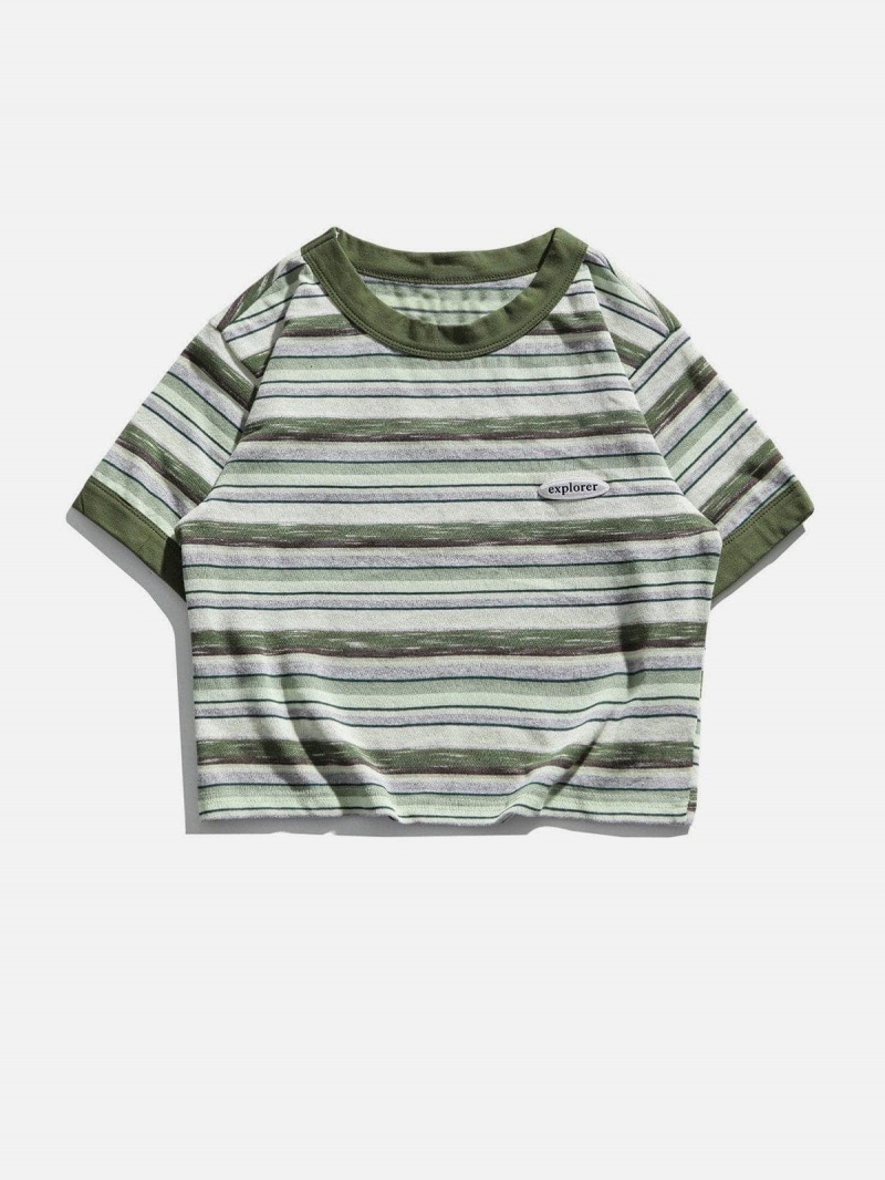 T Shirts Aelfric Eden Explorer Stripe Crop Tee Bleu | FEE-29573008